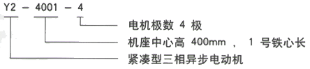 YR系列(H355-1000)高压YJTGKK4004-6三相异步电机西安西玛电机型号说明